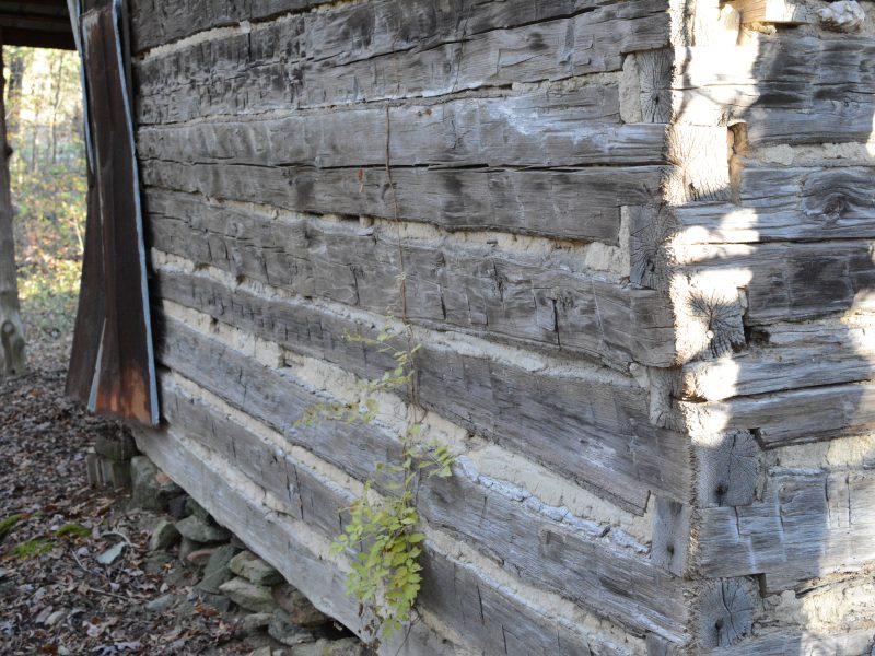 Very Old Tobacco Barn