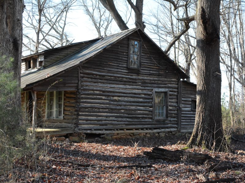 MNT log cabin!