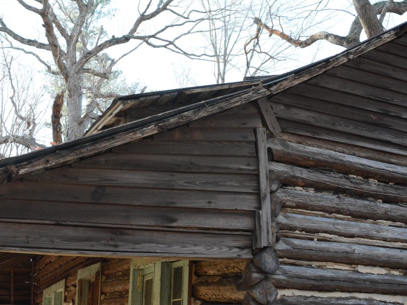 MNT log cabin!