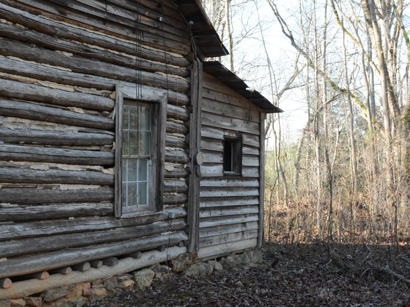 MNT log cabin!