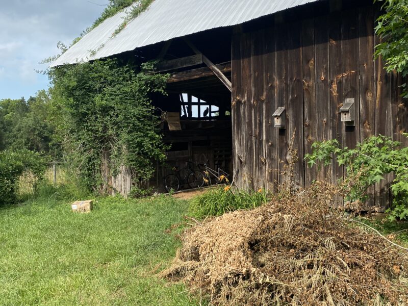 Old barn with great interior and exterior beams