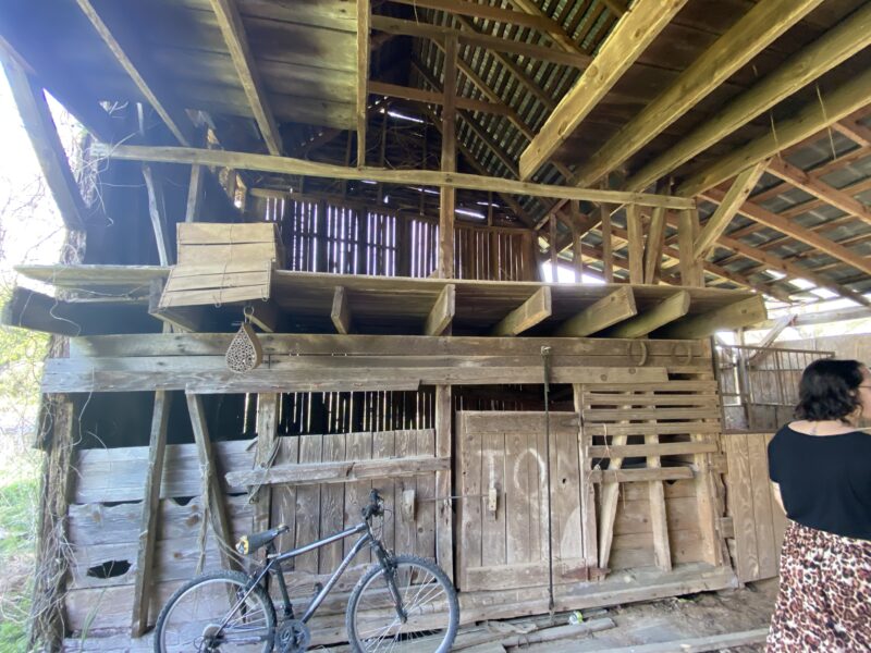 Old barn with great interior and exterior beams