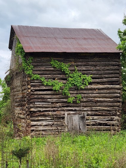 TOBACCO BARN -- Lots of wood ready to be reused!