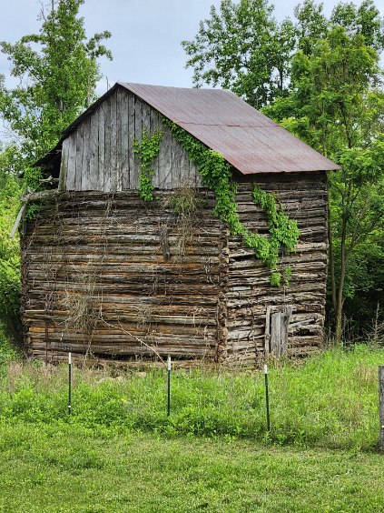 TOBACCO BARN -- Lots of wood ready to be reused!