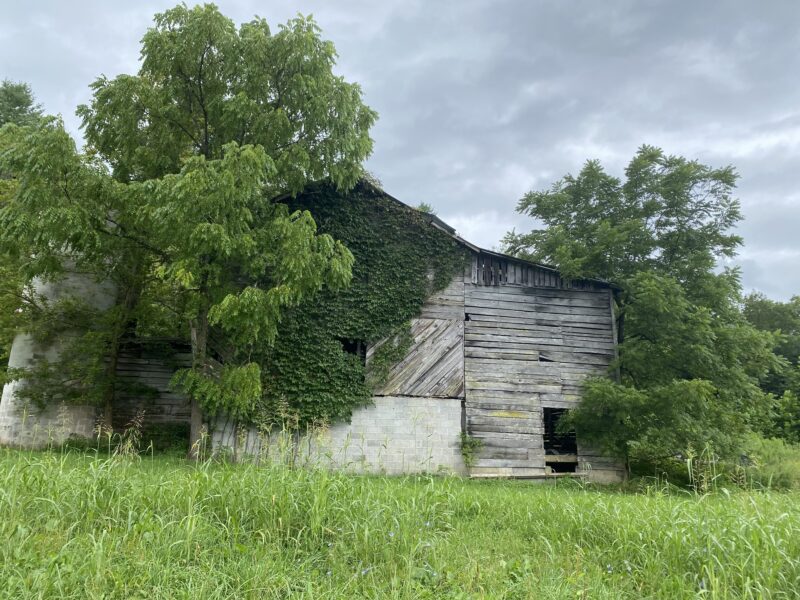 Over 100-Year-Old Tobacco Barn - authentic antique wood for collectors