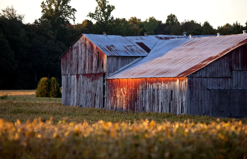 Barn Roofs