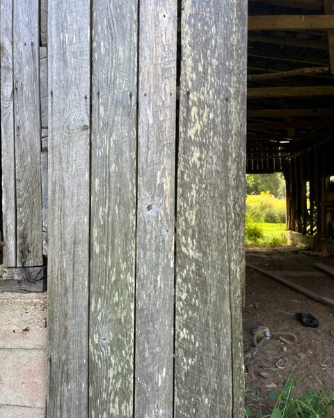 Original, nearly hundred year old barn in need of disassembly