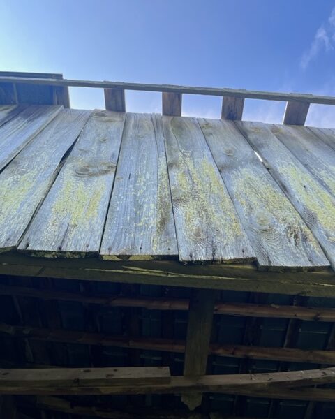 Original, nearly hundred year old barn in need of disassembly