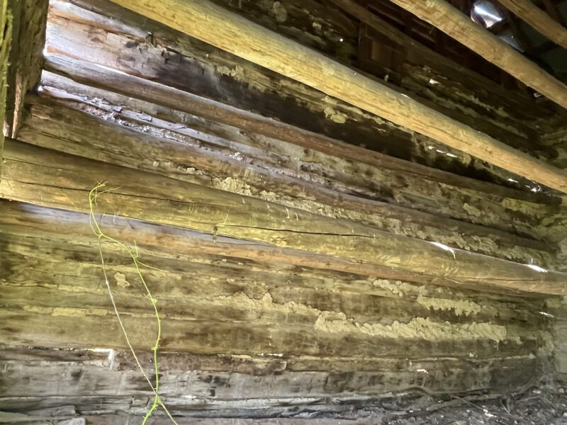 Late 1800's early 1900's Drying Tobacco Barn